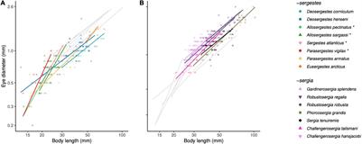 Ecological Predictors and Functional Implications of Eye Size in Deep-Sea Shrimps